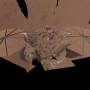 9207_pia25287-insights_final_selfie_main-web.jpg